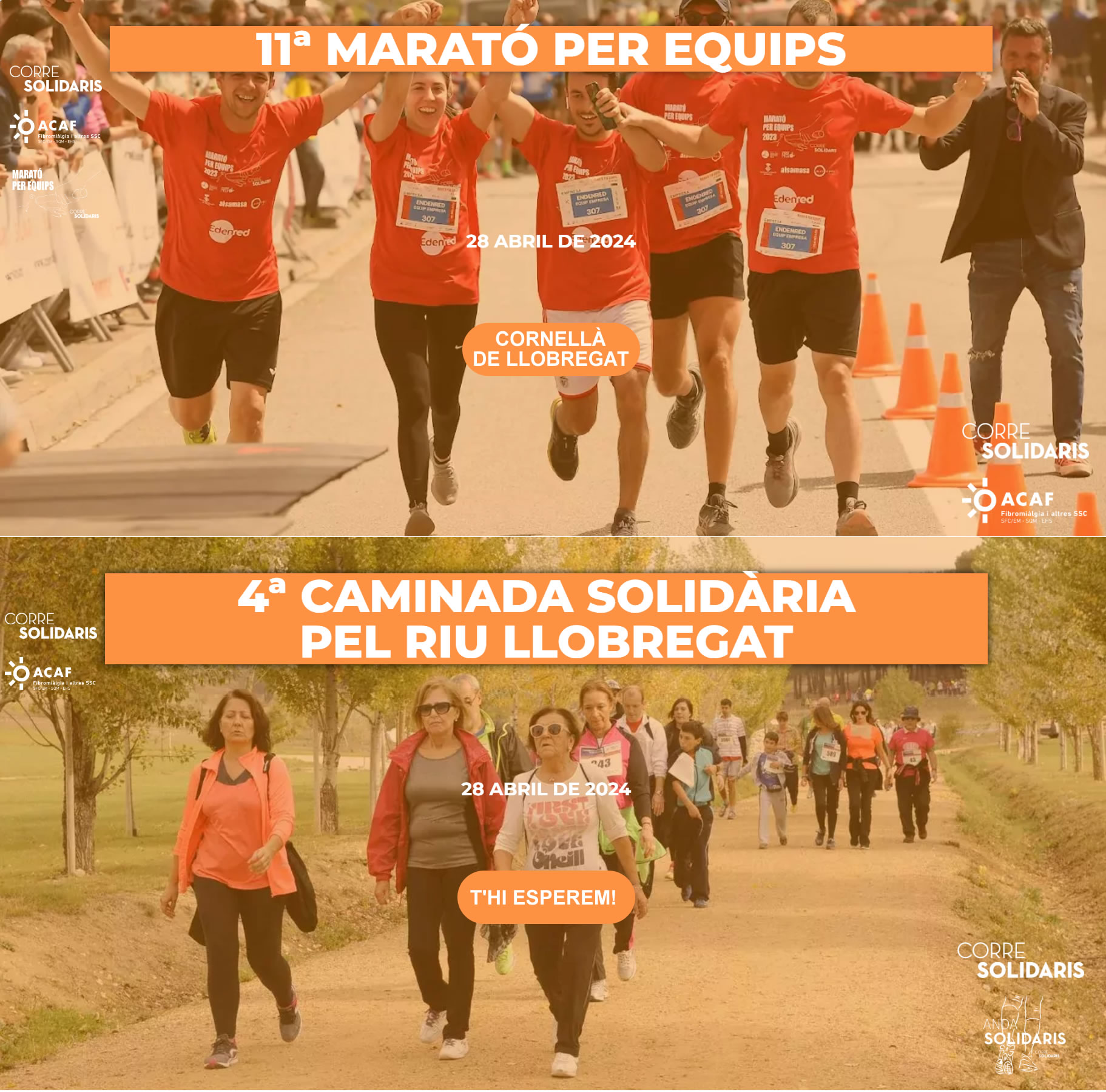Marató per equips i caminada solidària