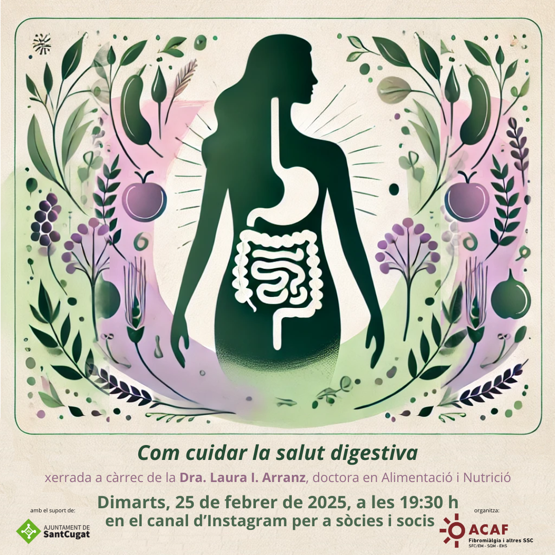 Cómo cuidar la salud digestiva