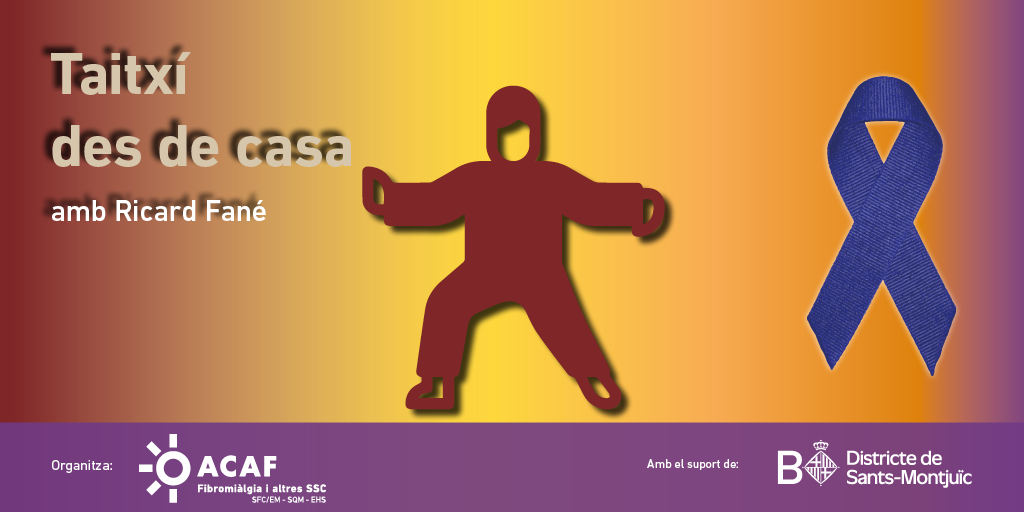 Taitx&iacute; des de casa