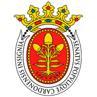 Ajuntament de Cardona