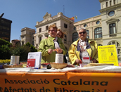 Taula informativa Dia Mundial